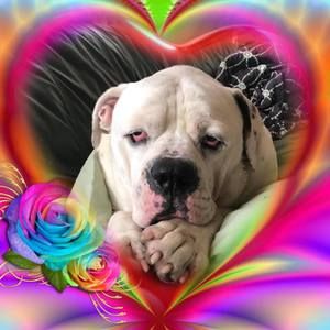 Meet your Posher, Paula